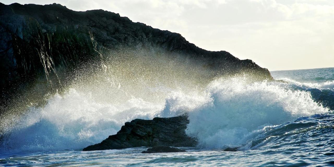 Talehay * Looe